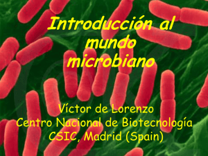Introducción al Mundo Microbiano: Biorremediación y más