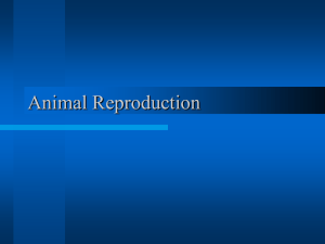 Reproduction