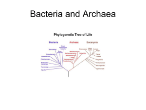 Bacteria and Archaea