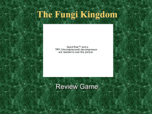 75779_Fungi-jeopardy