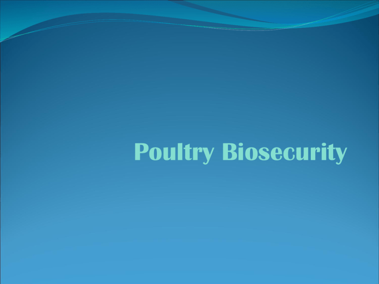 poultry-biosecurity