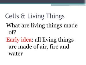 Cells & Living Things: Cell Theory, Structure & Function