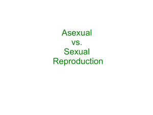 Asexual vs. Sexual Reproduction