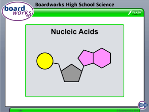 Nucleic Acids