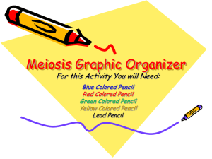 Meiosis Graphic Organizer: Cell Division Explained