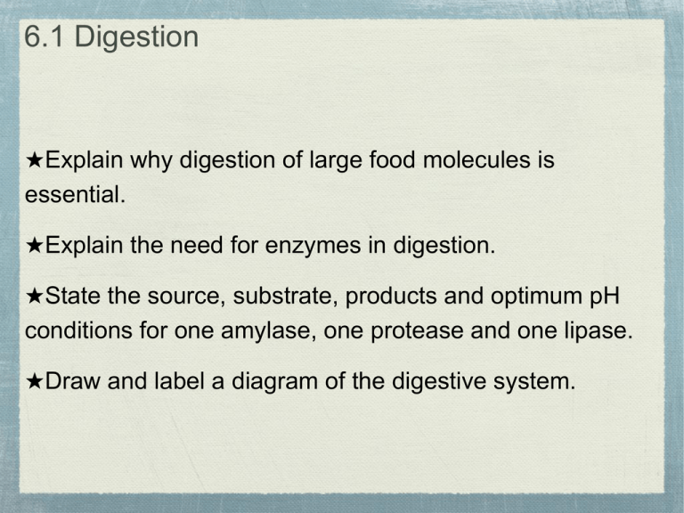 6_1_ 6_3 Digestion and Infectious Diseases PP2
