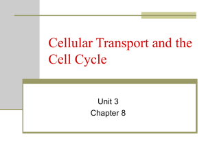 Cellular Transport & Cell Cycle: Presentation