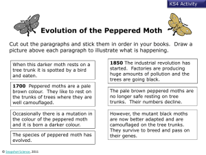 Peppered Moth Evolution: KS4 Activity Worksheet