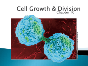 Cell Growth & Division: Mitosis, Cell Cycle, Cancer