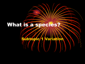 What is a species