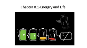 Photosynthesis & Cellular Respiration: Energy & Life Overview