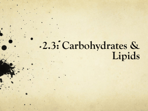 Carbohydrates & Lipids: Structure, Function, & Energy Storage