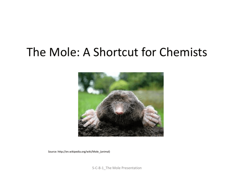 the-mole-chemistry