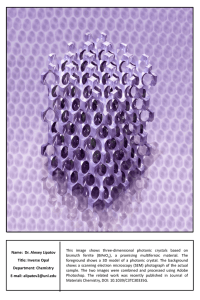 Name: Dr. Alexey Lipatov Title: Inverse Opal Department: Chemistry