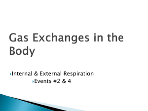 respiratory system part iii