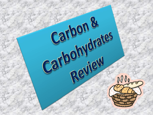 Organic Chemistry & Carbohydrates Review Worksheet