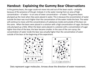 Handout Osmosis Diffusion Gummy Bear Explanation