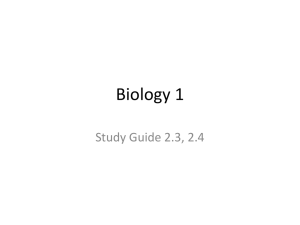 Biology Biomolecules & Enzymes Study Guide