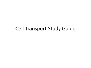 Cell Transport Study Guide: Diffusion, Osmosis, Active Transport