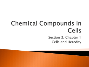 Cell Chemistry: Elements, Compounds, and Organic Molecules