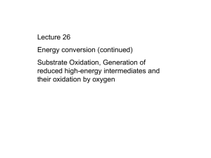 Lecture 26
