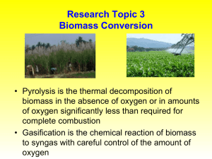 Biomass Conversion