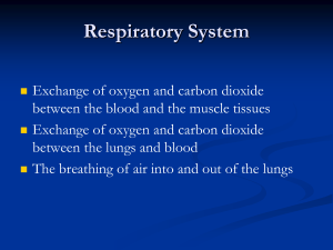 AS Mechanics_of_Breathing