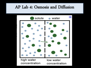 AP Lab 1 Osmosis and Diffusion