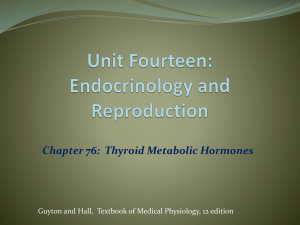 Physiological Functions of the Thyroid Hormones