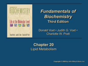 Fundamentals of Biochemistry 3/e