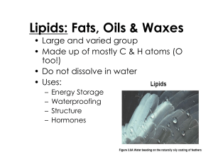 Lipids: Fats, Oils, Waxes - Biology Presentation