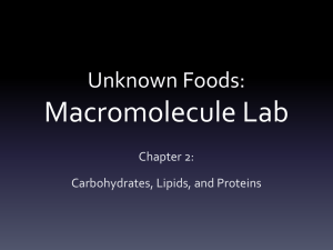 Unknown Foods: Macromolecule Lab
