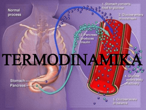 Termodinamica: Leggi, Processi e Trasferimento di Calore