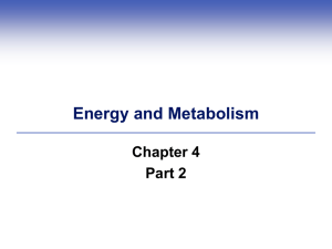 Chapter 4 part 2