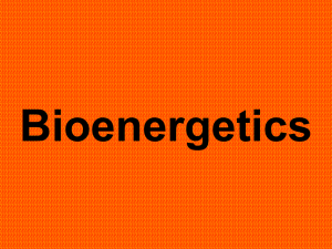 Bioenergetics
