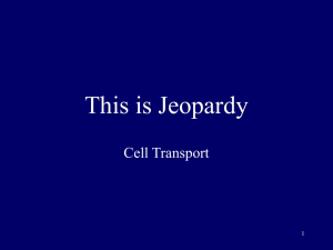 Cell Transport Jeopardy: Diffusion, Osmosis, Active Transport