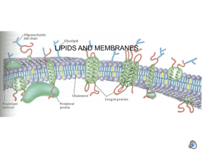 Lipid composition Unsaturated