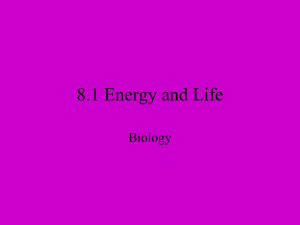 Energy and Life: Autotrophs, Heterotrophs, ATP, Photosynthesis