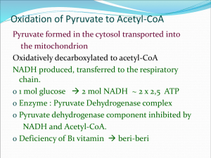 pyruvate dehydrogenase