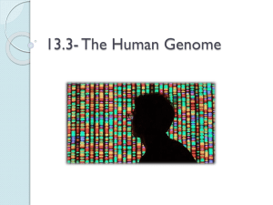 13.3- The Human Genome