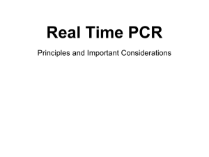 Real Time PCR