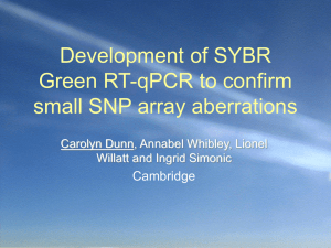 Development of SYBR Green RT-qPCT to confirm small SNP