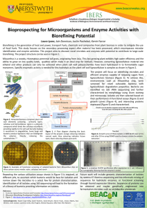 Laura`s Poster
