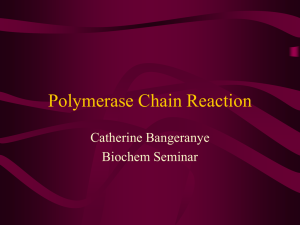 PCR: Polymerase Chain Reaction Presentation