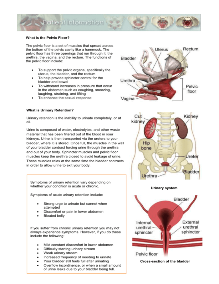 Urinary Retention Advanced