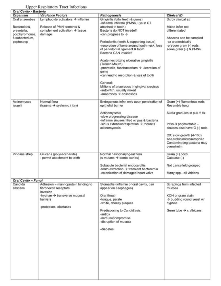 Upper Respiratory Tract Infections