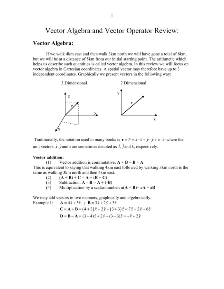 assignment operator of vector