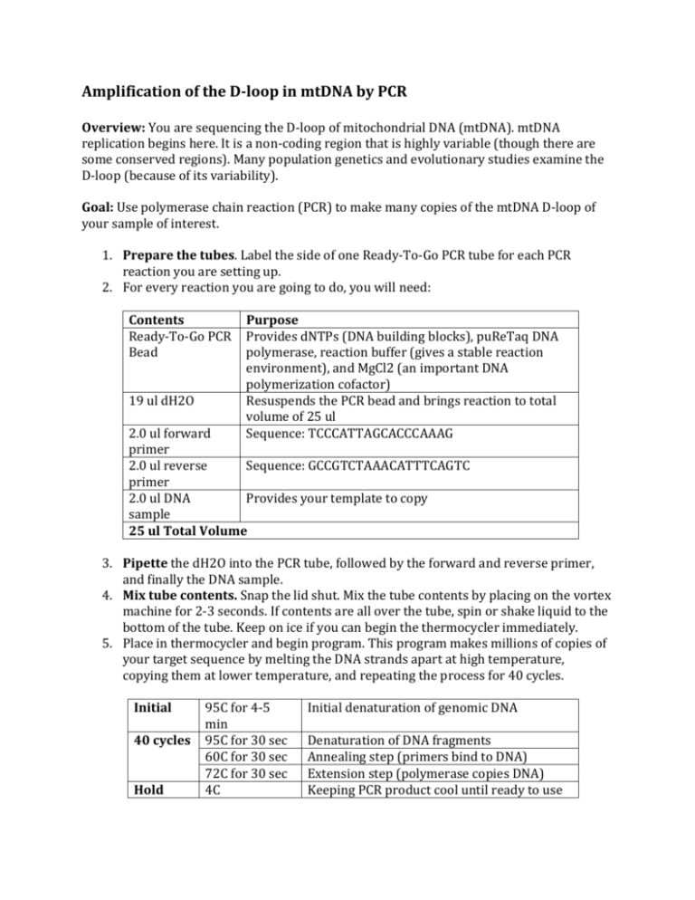 PCR Procedure Student Document