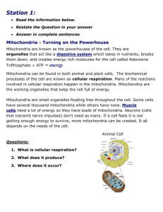 studylib.net - Essays, homework help, flashcards, research papers, book