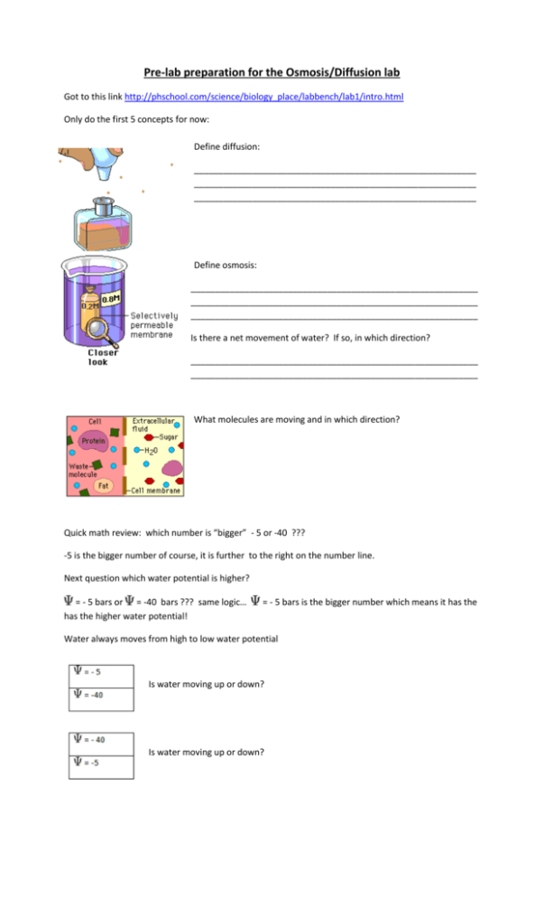 Pre Lab Preparation For The Osmosisdiffusion Lab